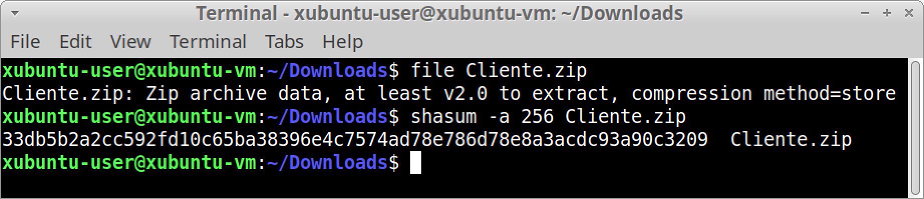 画像6は、Linuxのターミナルで、ファイルの種類とSHA-256ハッシュを確認する方法を示したスクリーンショットです。